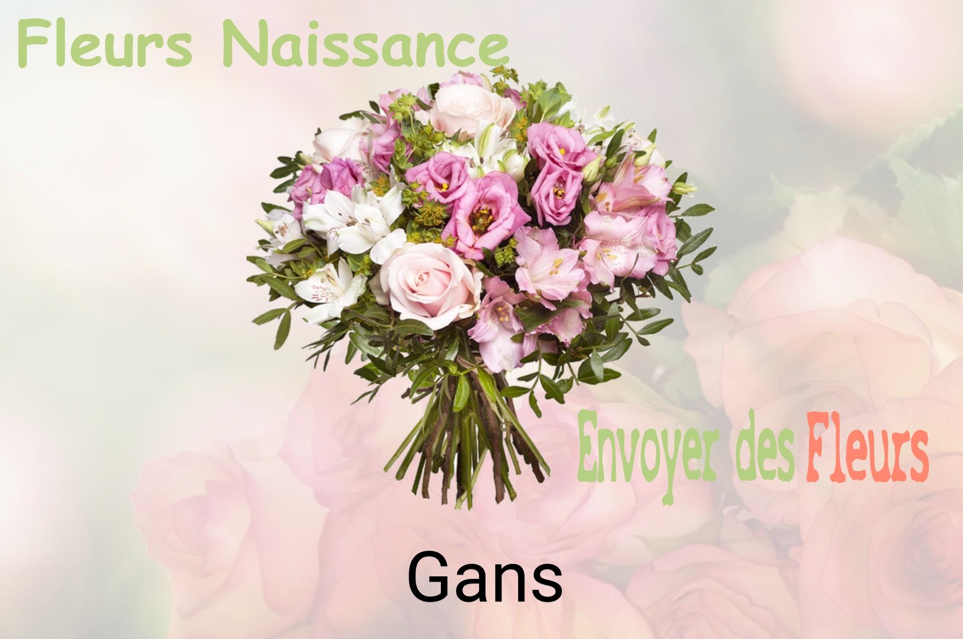 Bouquet de fleurs de naissance livré à Gans